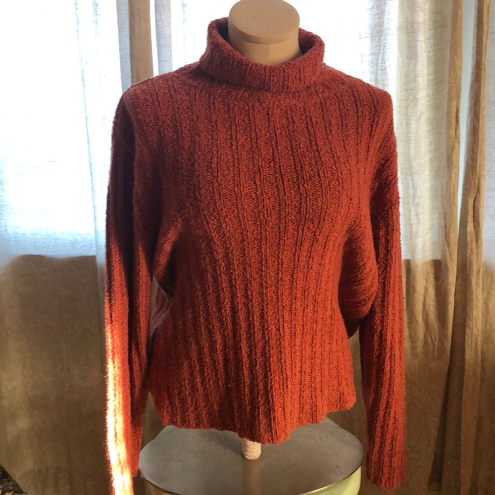 Turtleneck Knit Sweater